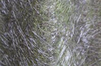 Littlemoor fibreglass roof work